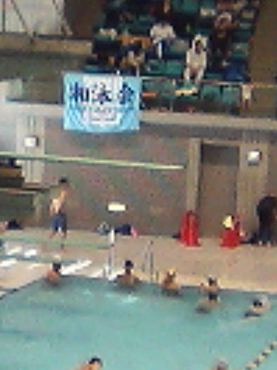 湘泳会旗